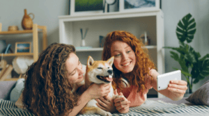 zvíře pes v nájemním bytě